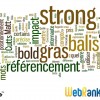 Impact SEO balises b strong