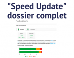 Google Speed Update (mobile)