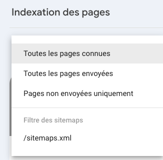 filtre indexation pages GSC