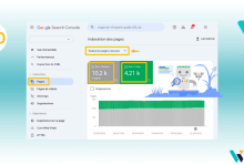 Rapport GSC d'indexation de pages