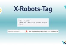 Entête HTTP X-Robots-Tag