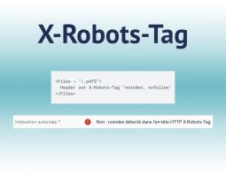 Entête HTTP X-Robots-Tag