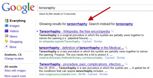 torsoraphy-google.jpg